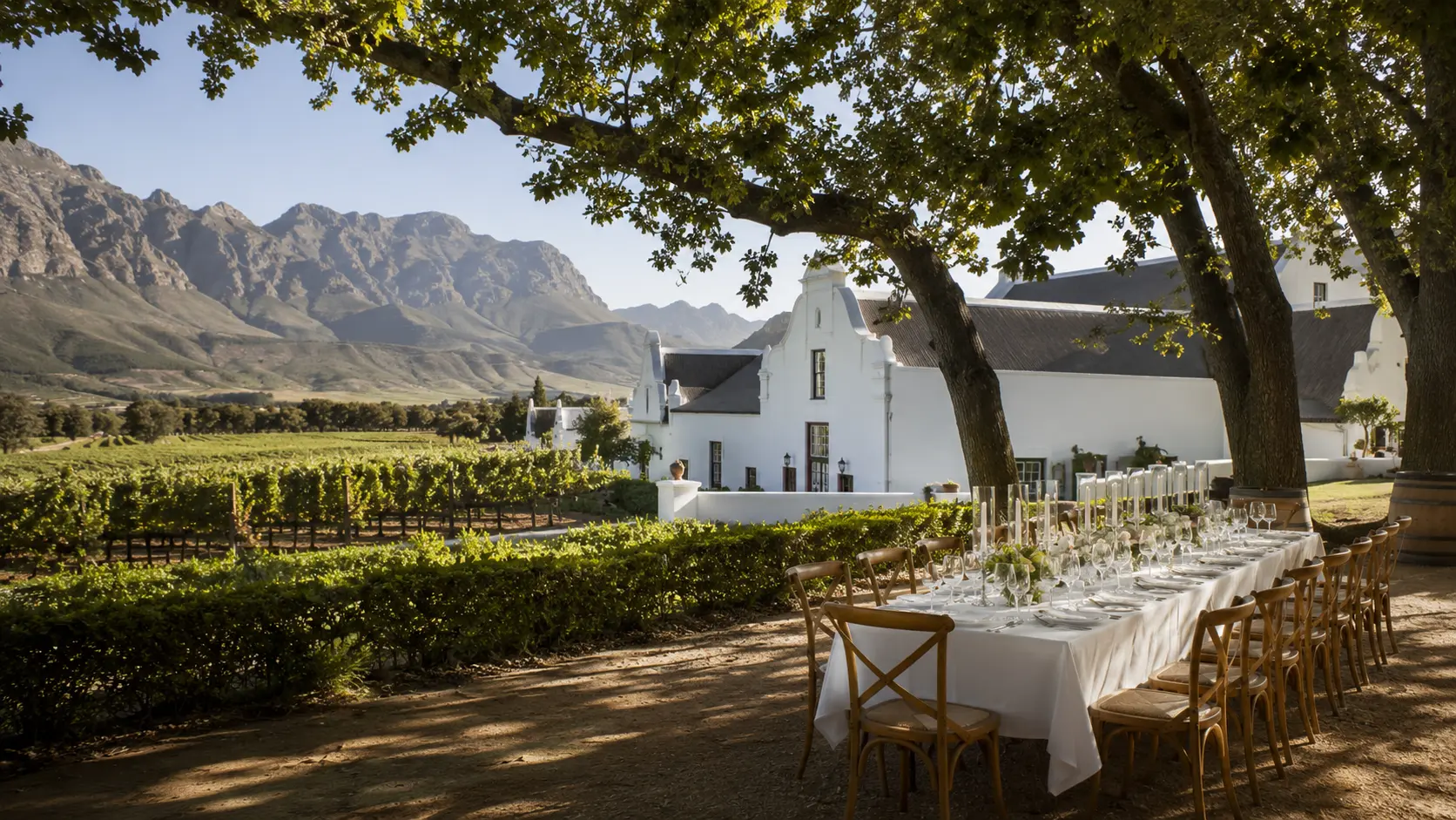 Long private lunch table set under oak trees at a Cape Dutch wine estate with vineyards and mountains beyond